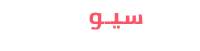 شركة سيو ماكس ماركتنج | SEO Max Marketing